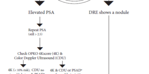 PSA Screening Flowchart